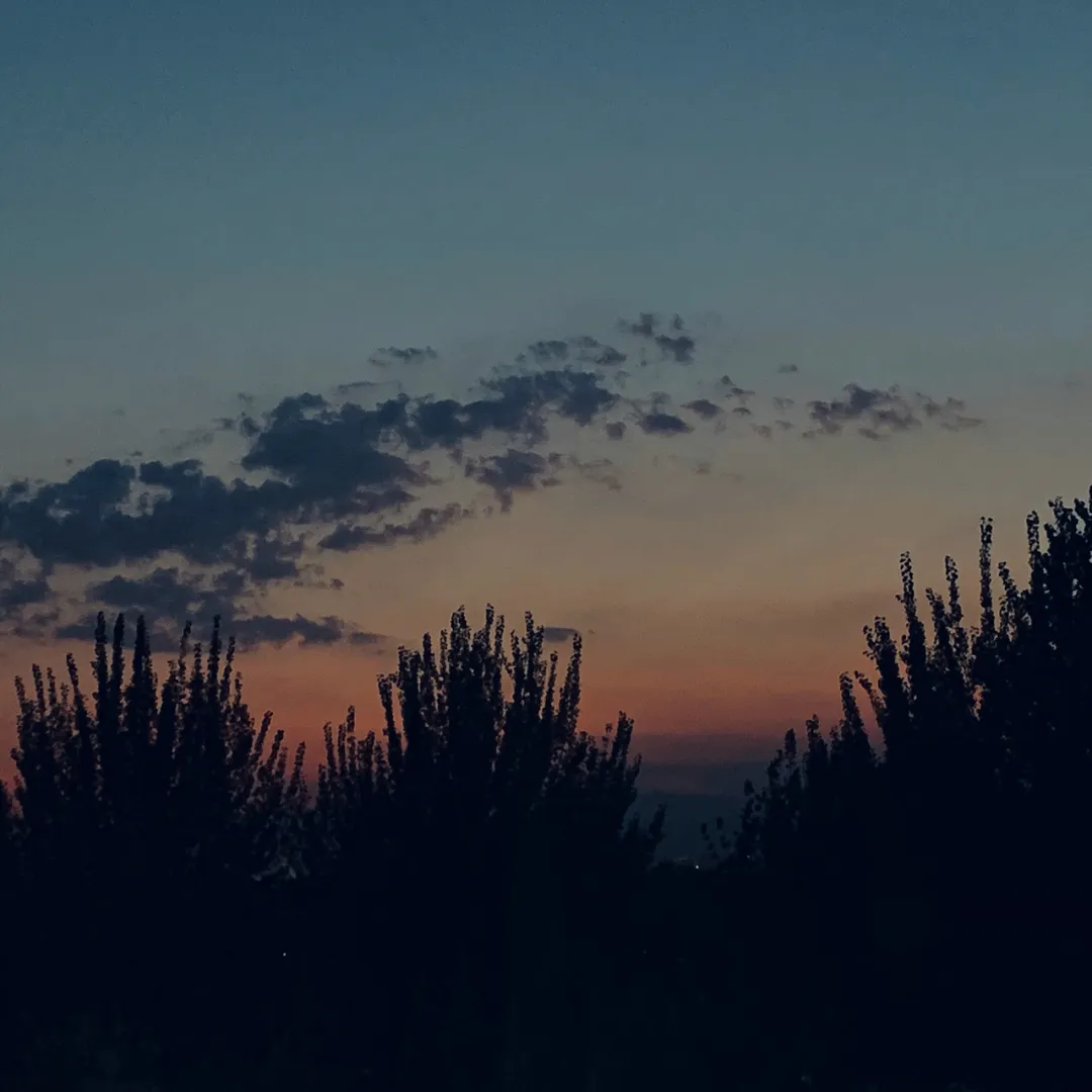 微信图片