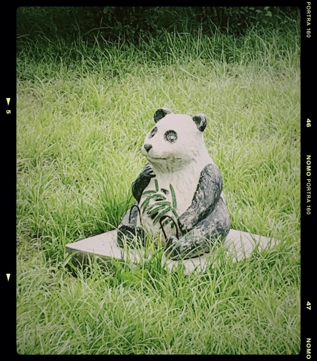 微信图片