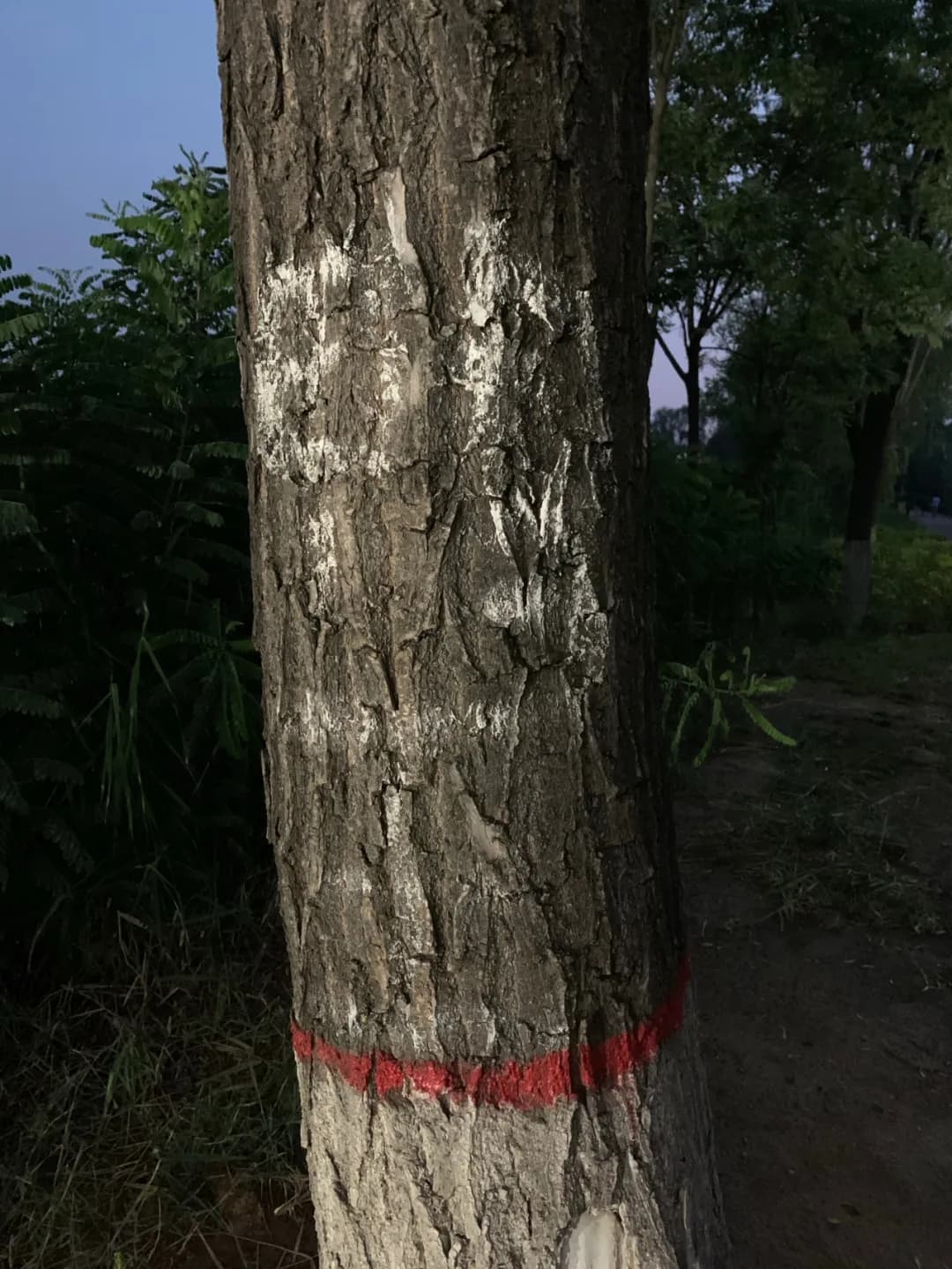 微信图片