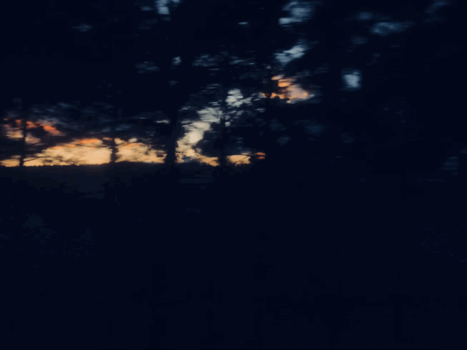IMB_N3tXQI.GIF